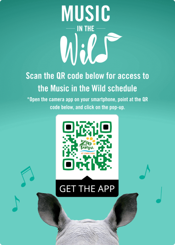 Esempio di annuncio con un QR Code che pubblicizza l'applicazione ZooTampa.