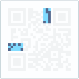 Le informazioni sulla versione indicano quale versione del QR Code viene utilizzata